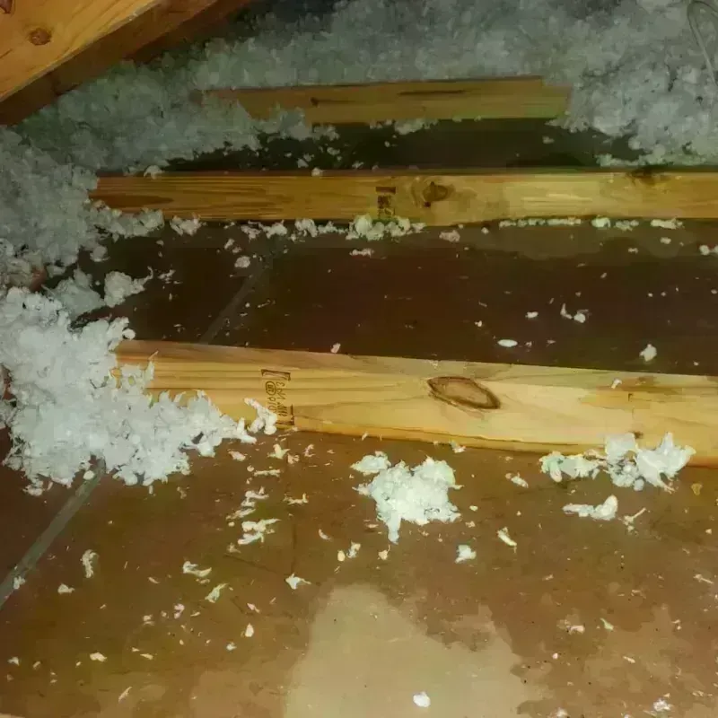 Attic Water Damage in Glide, OR