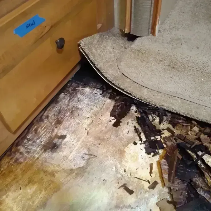 Wood Floor Water Damage in Glide, OR